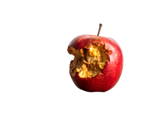 A close-up shot of a partially eaten, ripe, red fruit, revealing its inner composition against a stark black backdrop