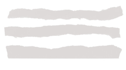 Three light grey horizontal ripped paper strips with textured edges