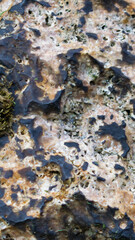 light limestone with interesting texture visible. background