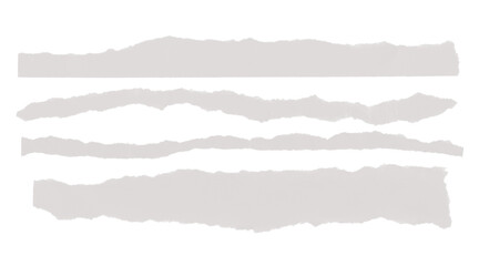 Collection of light gray torn paper elements with rough, jagged edges.