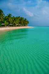 Tranquil closeup calm sea water waves with palm trees. Beautiful Panorama, Tropical island beach landscape exotic shore coast. Summer vacation, holiday amazing nature. Relax paradise, Maldives.