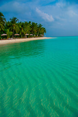 Naklejka premium Tranquil closeup calm sea water waves with palm trees. Beautiful Panorama, Tropical island beach landscape exotic shore coast. Summer vacation, holiday amazing nature. Relax paradise, Maldives.