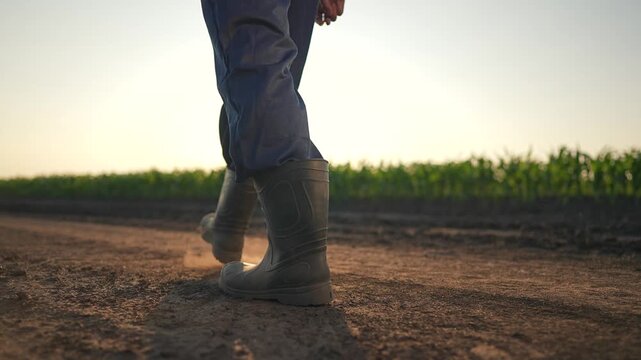 Farmer moving forward on dirt path. Boots mark soil under sunset sky. Walking road with calm steps, man steady. Field stays close, boots touch dirt. Farmer moves across road, boots leave soil trace.