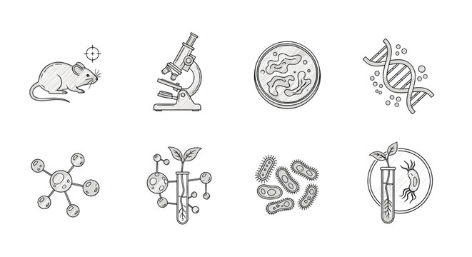 Hand drawn science icons dna, microscope, bacteria, molecule, rat, petri dish, test tube