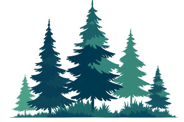 Obraz premium Evergreen pine tree forest silhouette