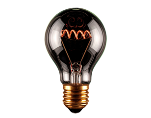 Isolated incandescent light bulb showing details of the glass, filament, and base