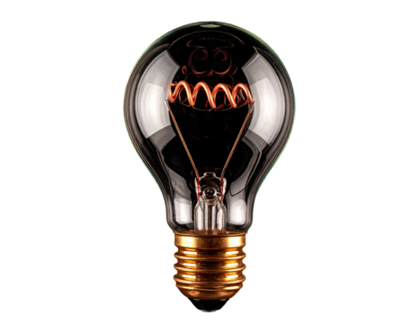 Isolated incandescent light bulb showing details of the glass, filament, and base