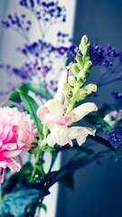 bouquet of pink flowers