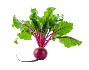 Close-up of a fresh, whole beet with vibrant green leaves and a deep red root