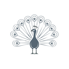 Fototapeta premium Elegant Peacock Bird Displaying Its Tail Feathers in Stylized Outline
