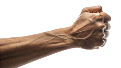 Stock photo of human fist hand vein arm muscle anatomy strength power clenched body part healthcare
