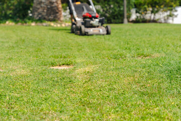 Fototapeta premium Lawn mower cutting fresh green grass in backyard garden performing outdoor landscaping maintenance seasonal yard care service with gardening equipment