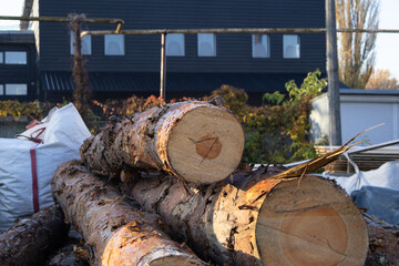 Sturdy logs are piled at a wood yard, with a contemporary building and colorful foliage in the...
