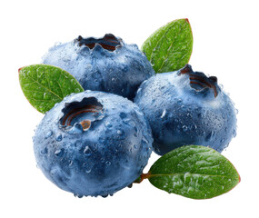 Harvesting fresh blueberries farm food natural light isolated on transparent background