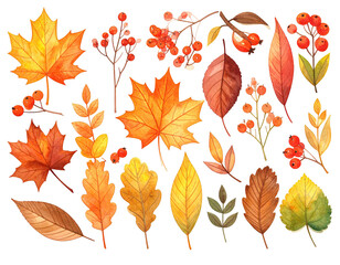 Naklejka premium Watercolor illustration of various autumn leaves and berries on a black background