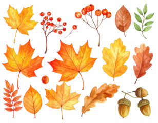 Watercolor illustrations of autumn leaves, berries, and acorns against a black backdrop