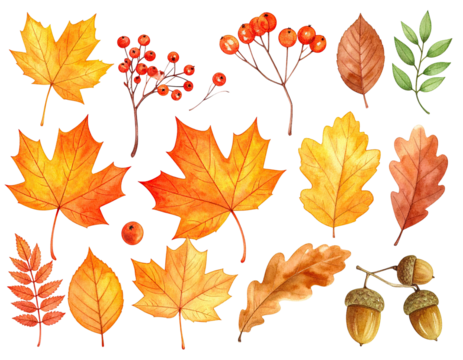 Watercolor illustrations of autumn leaves, berries, and acorns against a black backdrop