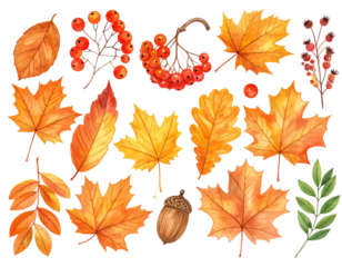 Watercolor illustration of autumn foliage, berries, and a single acorn on a black background