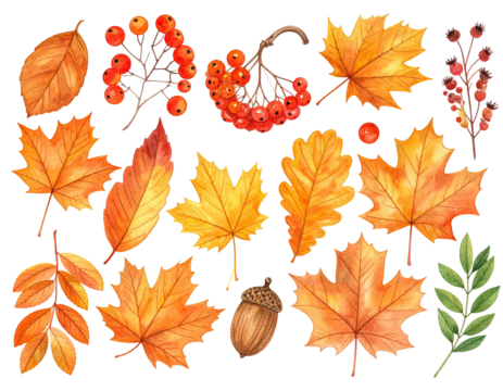 Watercolor illustration of autumn foliage, berries, and a single acorn on a black background