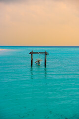 Tranquil closeup calm sea water waves with palm trees. Model sitting on hammock. Tropical island beach landscape exotic shore coast. Summer vacation, holiday amazing nature. Relax paradise, Maldives.