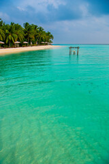 Tranquil closeup calm sea water waves with palm trees. Beautiful Panorama, Tropical island beach landscape exotic shore coast. Summer vacation, holiday amazing nature. Relax paradise, Maldives.