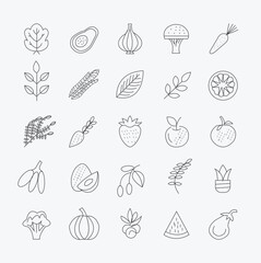 Food and Vegetable Icons