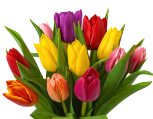 Close-up of a vibrant bouquet featuring colorful tulip blossoms and their green stems