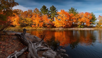 Orange Foliage On Minnesota Lake Shoreline