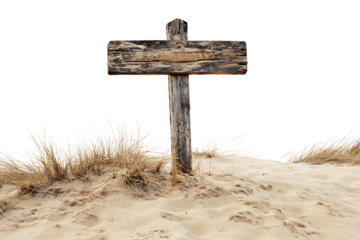 Old weathered wooden sign post blank for text standing in sand dunes and tall dry grass isolated on transparent background