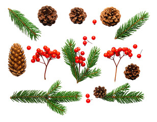 Assortment of natural Christmas elements, fir branches, pinecones and red berries on black