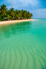 Tranquil closeup calm sea water waves with palm trees. Beautiful Panorama, Tropical island beach landscape exotic shore coast. Summer vacation, holiday amazing nature. Relax paradise, Maldives.