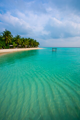 Fototapeta premium Tranquil closeup calm sea water waves with palm trees. Beautiful Panorama, Tropical island beach landscape exotic shore coast. Summer vacation, holiday amazing nature. Relax paradise, Maldives.