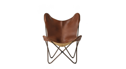 Leather butterfly chair in sharp detail