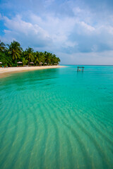 Tranquil closeup calm sea water waves with palm trees. Beautiful Panorama, Tropical island beach landscape exotic shore coast. Summer vacation, holiday amazing nature. Relax paradise, Maldives.