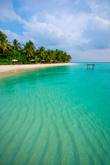 Tranquil closeup calm sea water waves with palm trees. Beautiful Panorama, Tropical island beach landscape exotic shore coast. Summer vacation, holiday amazing nature. Relax paradise, Maldives.
