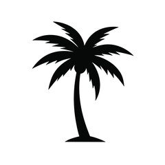 silhouette of palm tree