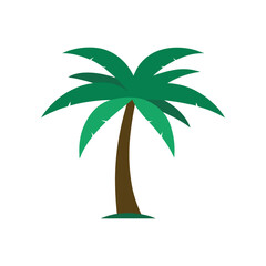 palm tree vector illustration