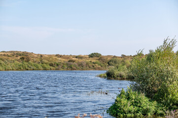 A lake in the dune nature reserve