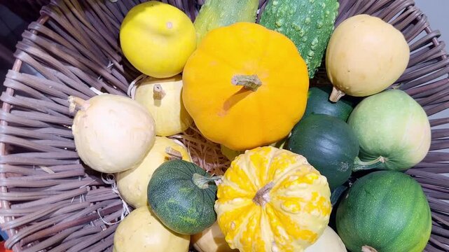 supermarket vegetable counters, various vegetables (pumpkin, zucchini, squash)