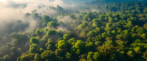 Panoramic view of summer morning mist and fog over green mountain forest landscape with blue sky and clouds