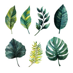 Fototapeta premium Collection of watercolor painted tropical leaves and foliage
