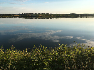 Sunny lake view with light green trees and blue sky. Tranquil landscape perfect for meditation. Breathtaking scenery of rural area Protect the planet Earth. Eco tourism. Travel to remote location