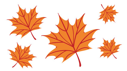 Autumn Maple Leaf Illustrations Grouped for Seasonal Fall Graphic Designs