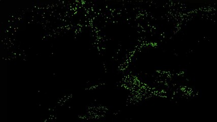 an abstract background of green particles or confetti on a black background. 4k animation videos with rounding. - Powered by Adobe