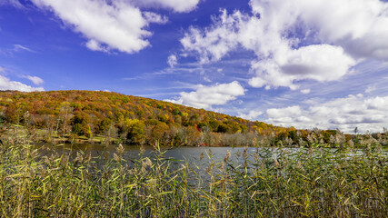 Scenic view of autumn foliage reflecting in calm waters under a bright blue sky with clouds