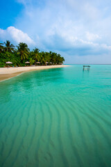 Tranquil closeup calm sea water waves with palm trees. Beautiful Panorama, Tropical island beach landscape exotic shore coast. Summer vacation, holiday amazing nature. Relax paradise, Maldives.