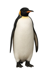 Fototapeta premium Striking Portrait of an Emperor Penguin Isolated on White Background