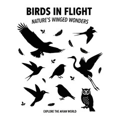 Set of flying bird silhouettes vector illustration in nature