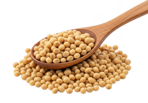 A wooden spoon overflowing with raw soybeans, isolated on a clean transparent background, representing healthy food and agriculture - Powered by Adobe