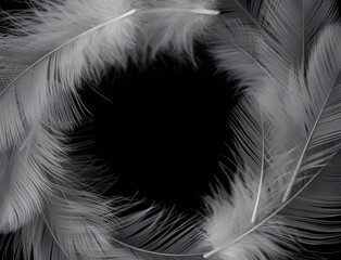 Obraz premium Close up abstract macro shot of delicate white feathers forming a circular pattern against a dark black background
